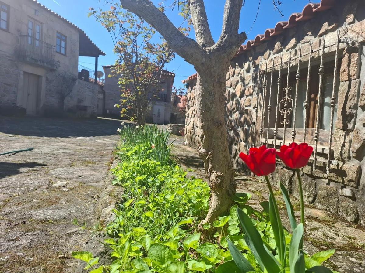 Casas Do Juizo - Country Houses Εξωτερικό φωτογραφία