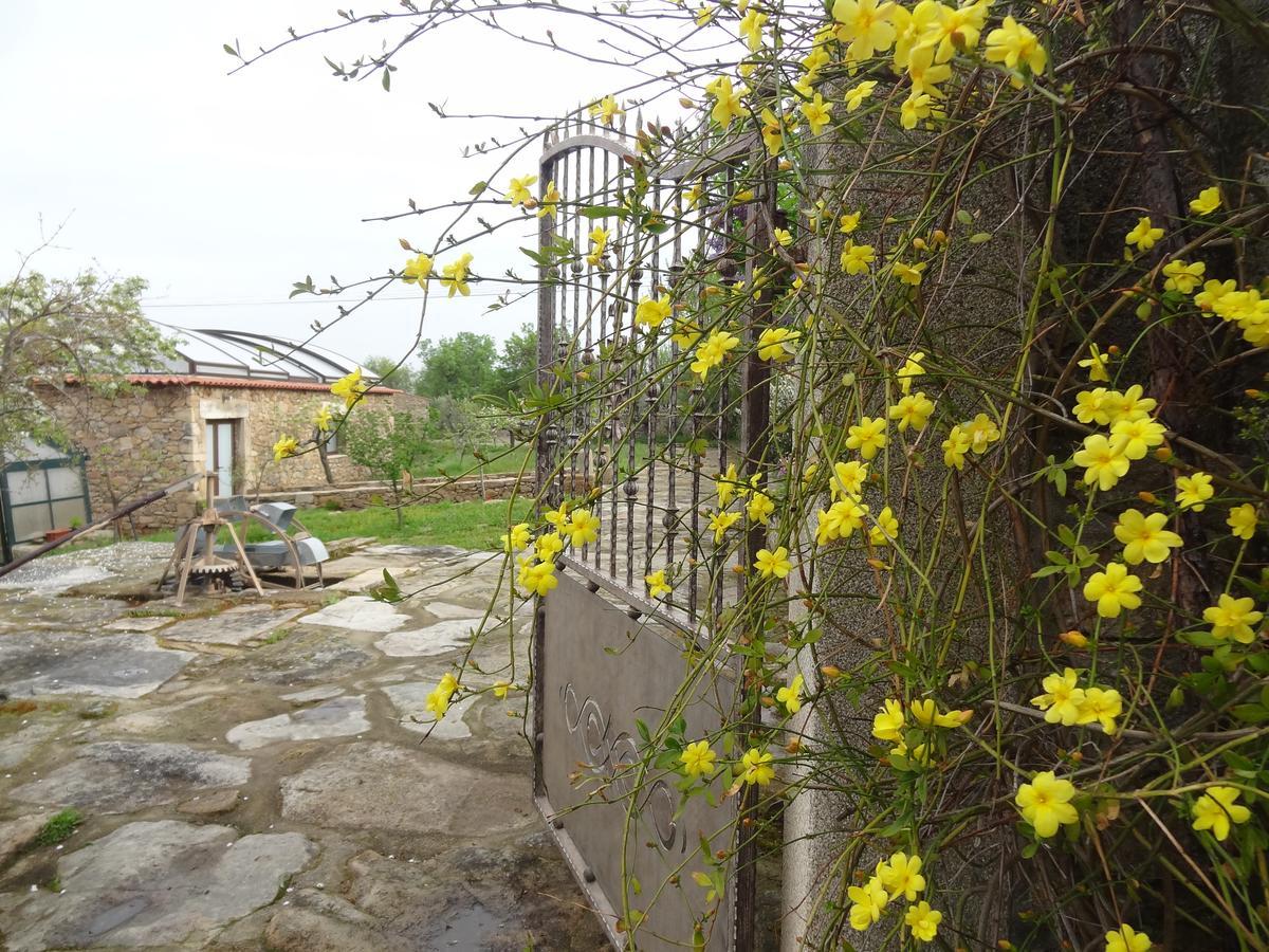 Casas Do Juizo - Country Houses Εξωτερικό φωτογραφία